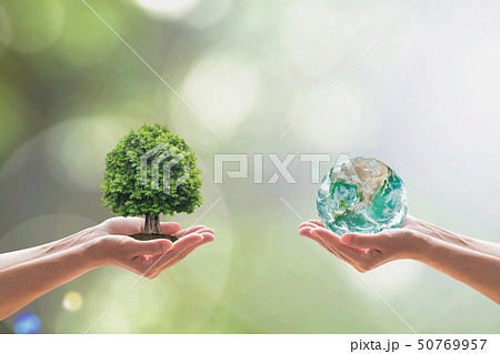 World environment day and biological diversity World environment day and biological diversity 50769957