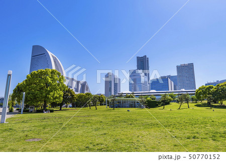 横浜 臨港パークの風景 芝生広場とビル群 50770152