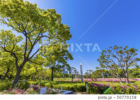 横浜 臨港パークの風景 50770158