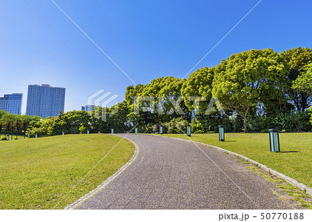 横浜 臨港パークの風景 50770188