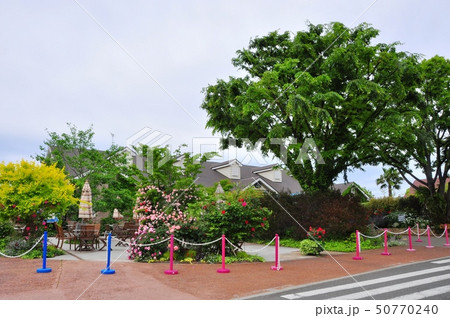 横浜イングリッシュガーデン前の休憩スペースと薔薇の花 50770240