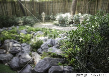 Small japanese style rock garden Small japanese style rock garden 50771338