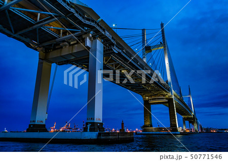 大黒ふ頭西緑地から見える横浜ベイブリッジ 大黒ふ頭西緑地から見える横浜ベイブリッジ 50771546