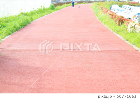 赤い舗装の歩道 赤い舗装の歩道 50771663