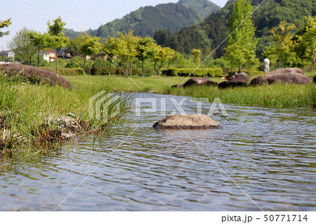 宮ヶ瀬湖畔園地　じゃぶじゃぶ池 50771714