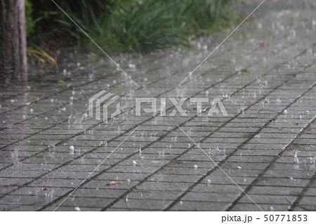 歩道に跳ねる激しいヒョウ 50771853