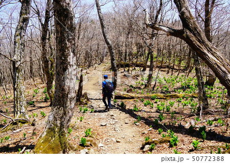 大峯奥駈道　弥山への道　 50772388