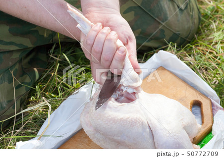 the tourist outdoors undresses chicken in summer 50772709
