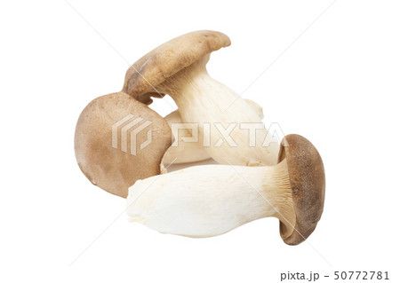 King Oyster Mushroom isolated on white background. 50772781
