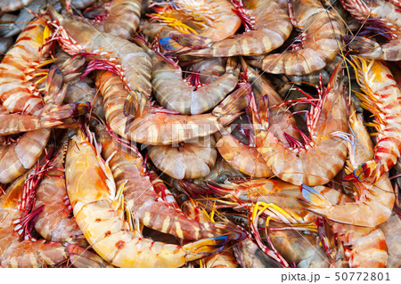 Catch of big prawns lay on counter 50772801