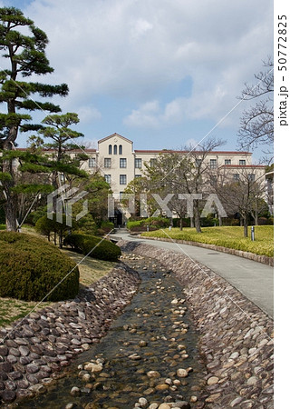 関西学院大学 50772825