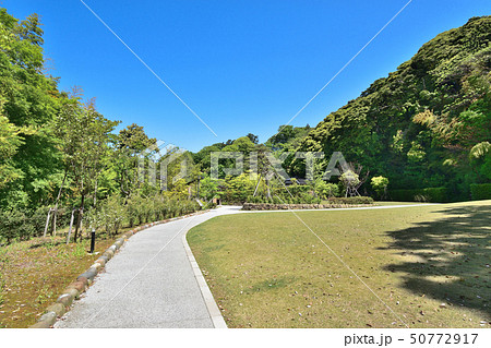 金沢市　松風閣庭園　緑の小径 50772917