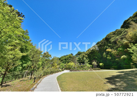 金沢市　松風閣庭園　緑の小径 50772921