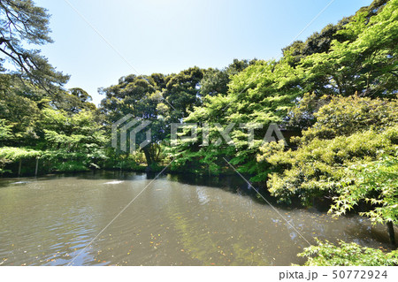 金沢市　松風閣庭園　霞ヶ池 50772924
