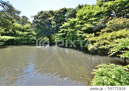 金沢市 松風閣庭園 霞ヶ池 金沢市 松風閣庭園 霞ヶ池 50772926