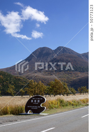 長者原　ススキ 50773123