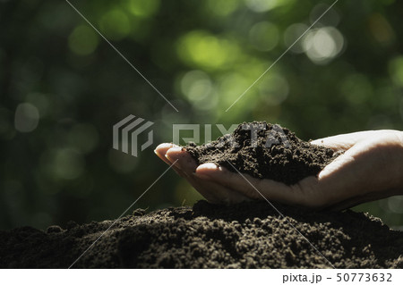 Hand of male holding soil in the hands for Hand of male holding soil in the hands for 50773632