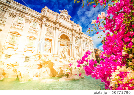 Fountain di Trevi in Rome, Italy 50773790