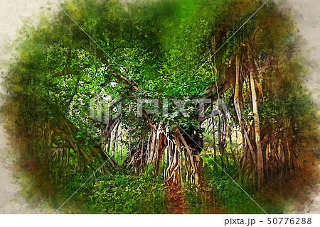 Watercolor painting of scenic view of jungle with Indian banyan 50776288