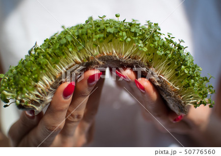 Female model is holding a piece of raw sprouted microgreens on her white shirt background. Face is Female model is holding a piece of raw sprouted microgreens on her white shirt background. Face is 50776560