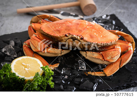 boiled dungeness crab image 50777615