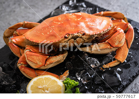 boiled dungeness crab image boiled dungeness crab image 50777617