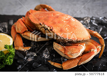 boiled dungeness crab image 50777618