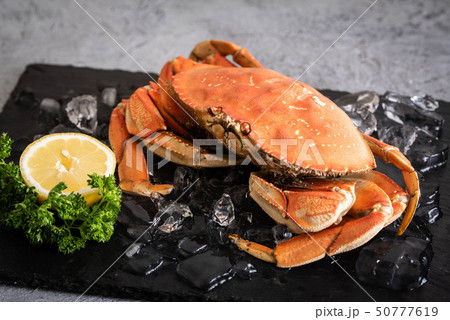 boiled dungeness crab image 50777619