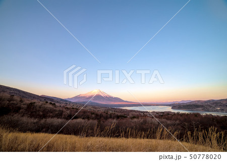 富士山 (2月 パノラマ台) 富士山 (2月 パノラマ台) 50778020