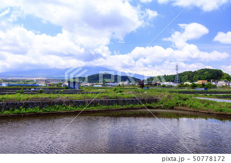 田んぼ（初夏） 50778172