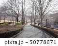 秋の公園の散歩道を歩く、群馬県甘楽公園 50778671