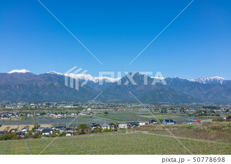 安曇野の春：北アルプスと街並み　　　　北安曇郡池田町 50778698