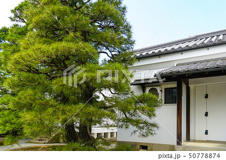 京都御所 (kyoto imperial palace)  50778874