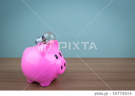 Pork piggy bank with a light bulb Pork piggy bank with a light bulb 50778914