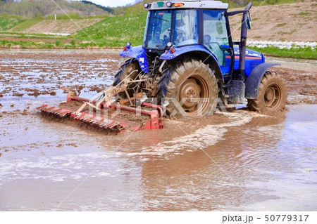 田んぼの代掻き rice paddy 田んぼの代掻き rice paddy 50779317