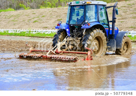 田んぼの代掻き rice paddy 50779348