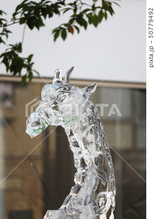 はちおうじ祭りの氷の彫刻 50779492