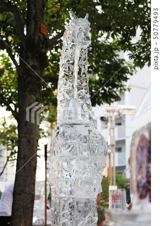 はちおうじ祭りの氷の彫刻 50779493