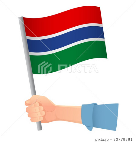Gambia flag in hand Gambia flag in hand 50779591