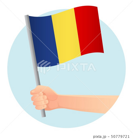Chad flag in hand Chad flag in hand 50779721