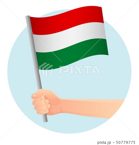 Hungary flag in hand Hungary flag in hand 50779775