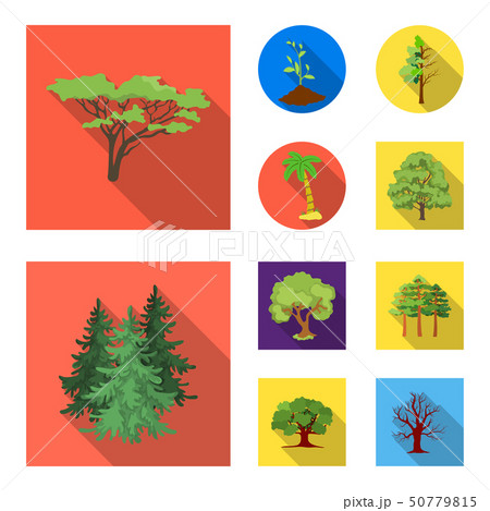 Vector illustration of tree  and forest symbol. Collection of tree  and green stock symbol for web. 50779815