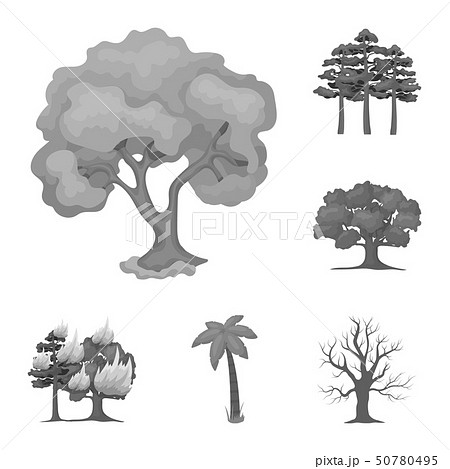 Vector illustration of tree and forest logo. Collection of tree and green stock symbol for web. Vector illustration of tree and forest logo. Collection of tree and green stock symbol for web. 50780495