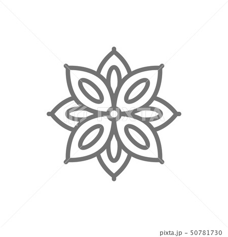 Star anise, spice line icon. Isolated on white background 50781730