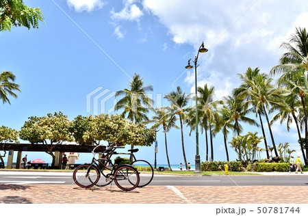 ハワイの休日 ハワイの休日 50781744