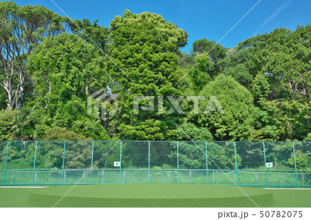 【二ツ塚古墳】 大阪府羽曳野市誉田6 【二ツ塚古墳】 大阪府羽曳野市誉田6 50782075