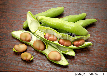 ピンクのそら豆 50782301