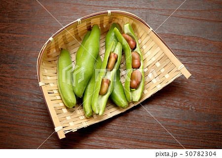 ピンクのそら豆 50782304