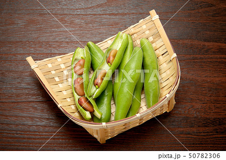 ピンクのそら豆 50782306