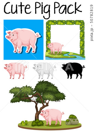 A pack of pig 50782819